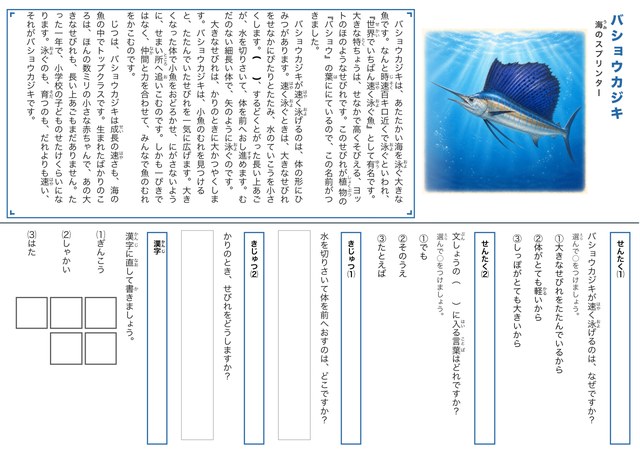 バショウカジキのプリント見本