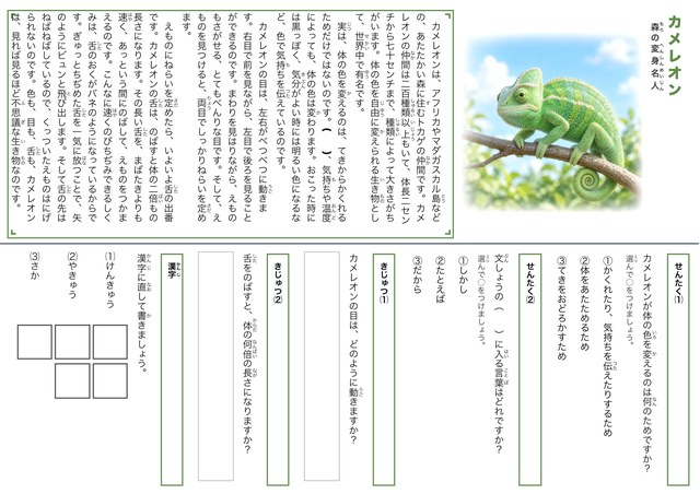 カメレオンのプリント見本