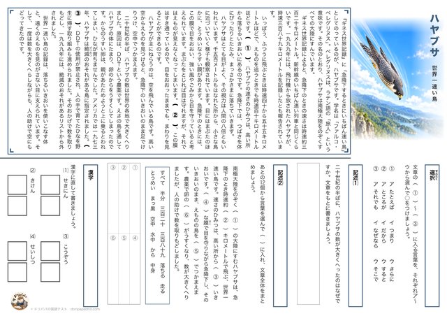 ハヤブサの国語テスト(小学5・6年生用)のプリント見本