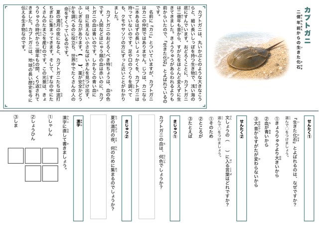 カブトガニのプリント見本