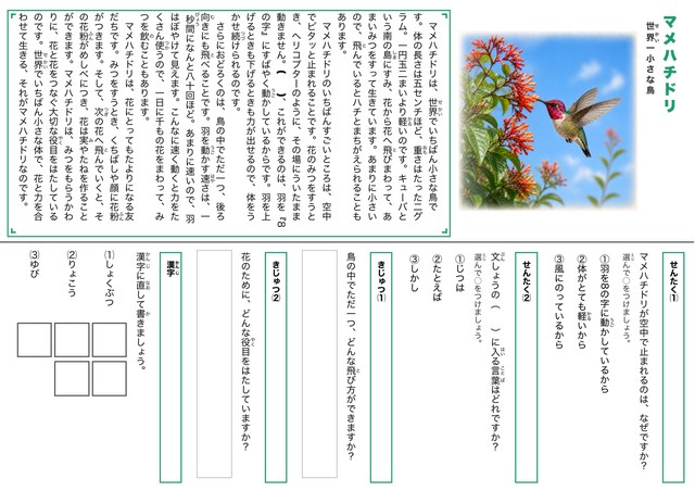 マメハチドリのプリント見本