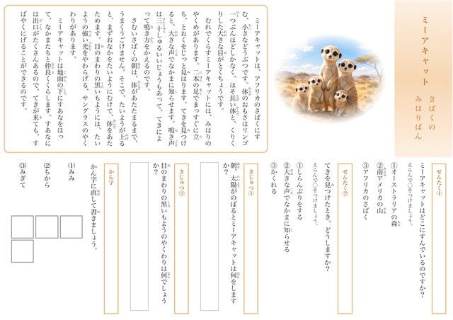 ミーアキャットのプリント見本