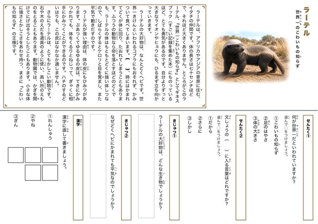 ラーテルのプリント見本