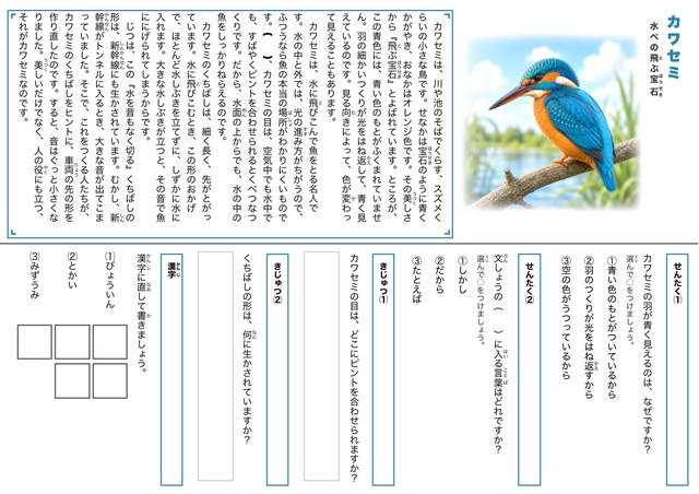 セット③ 空とふしぎのすごい生き物のプリント見本