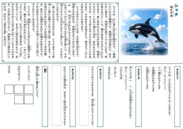 シャチのプリント見本