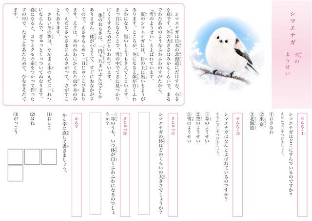 かわいい動物シリーズのテスト見本