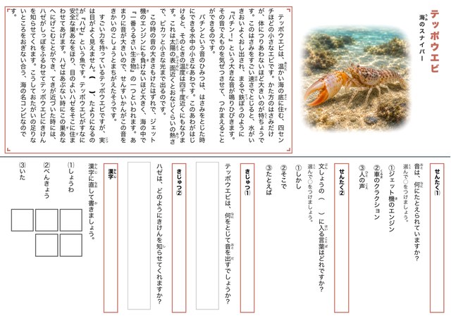 テッポウエビのプリント見本